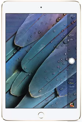 iPad mini 4 (2015)
