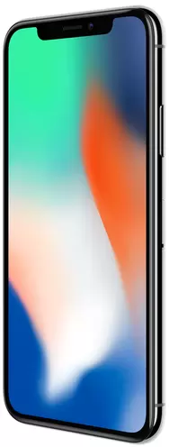 iPhone X