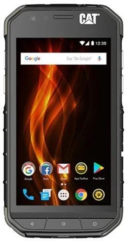 CAT S31