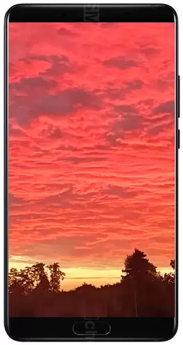 Mate 10