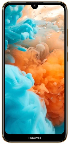 Y6 (2019)
