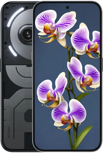Nothing Phone 2a Plus
